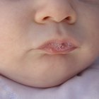 a newborn baby
