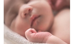 Pros & Cons of Adoption