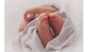 Meal Plan for Losing Weight While Breastfeeding
