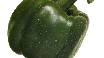 salted cucumber
