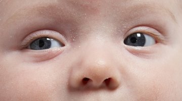 Newborn baby lying on a white background