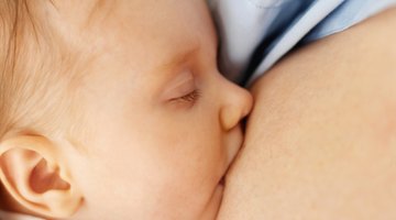 newborn baby boy