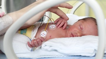 newborn baby boy