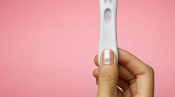 Ultra sound scan of fetus